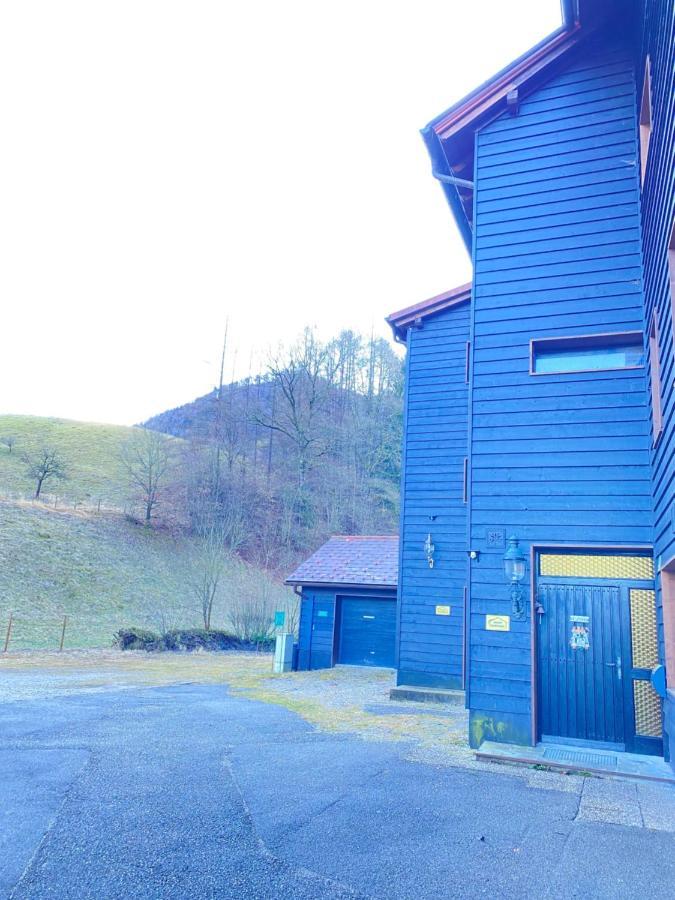 Apartments Steinwaend Gruenau im Almtal Exterior photo