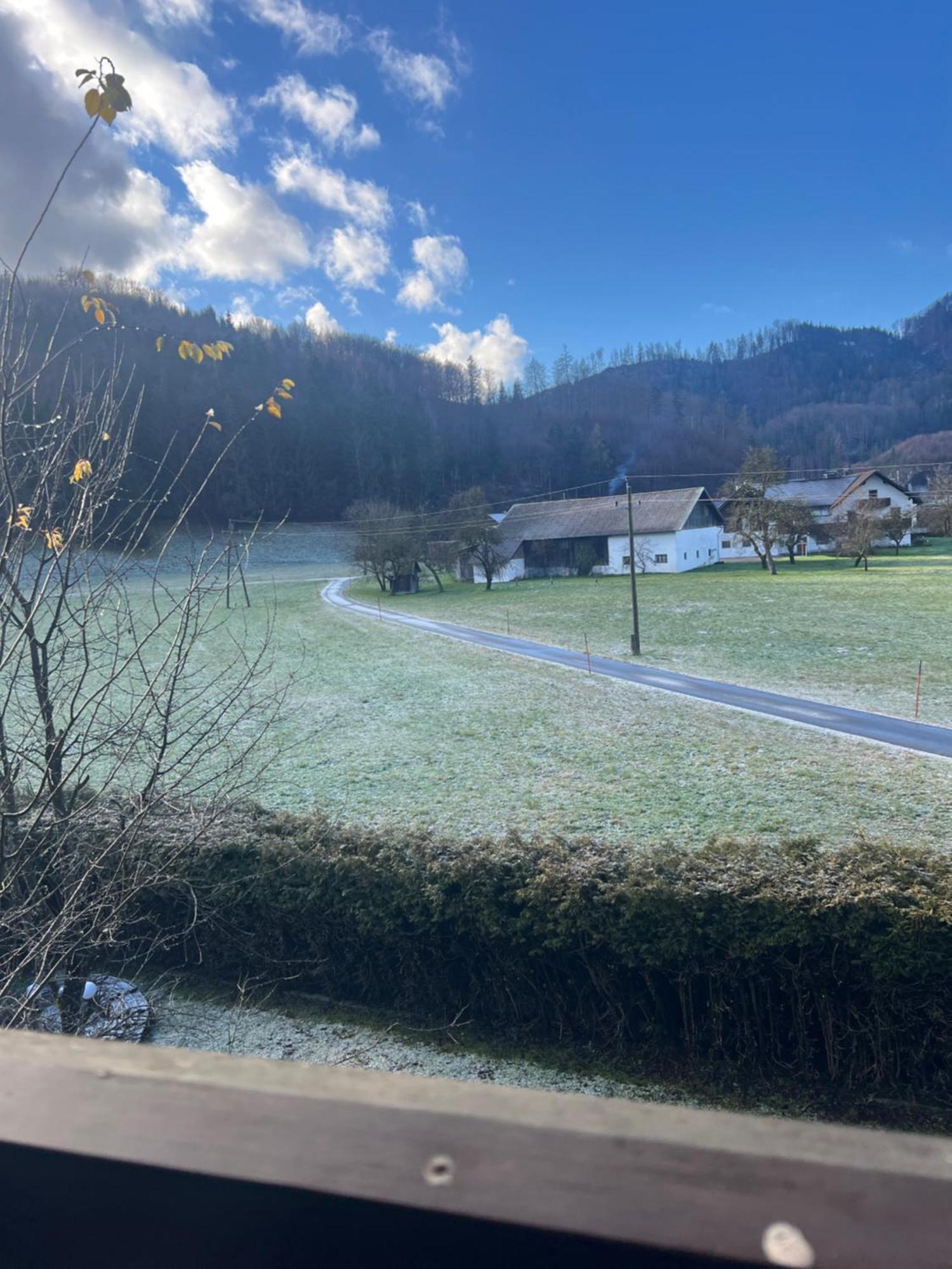 Apartments Steinwaend Gruenau im Almtal Exterior photo